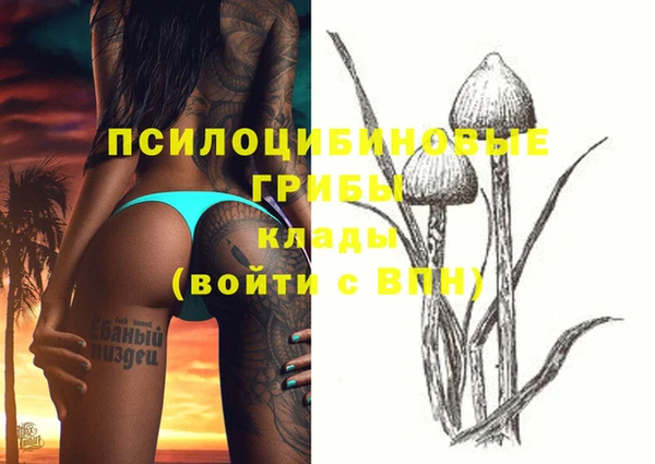 скорость Бронницы