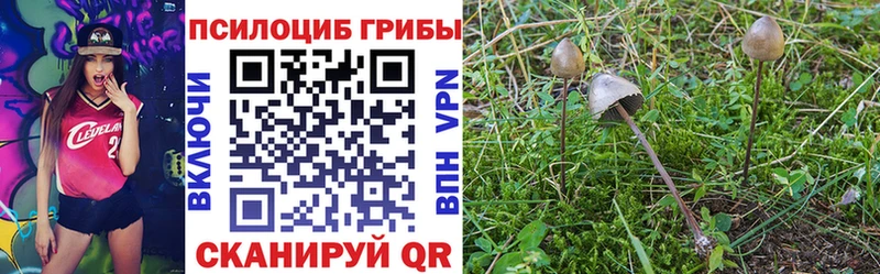 Галлюциногенные грибы ЛСД Можга